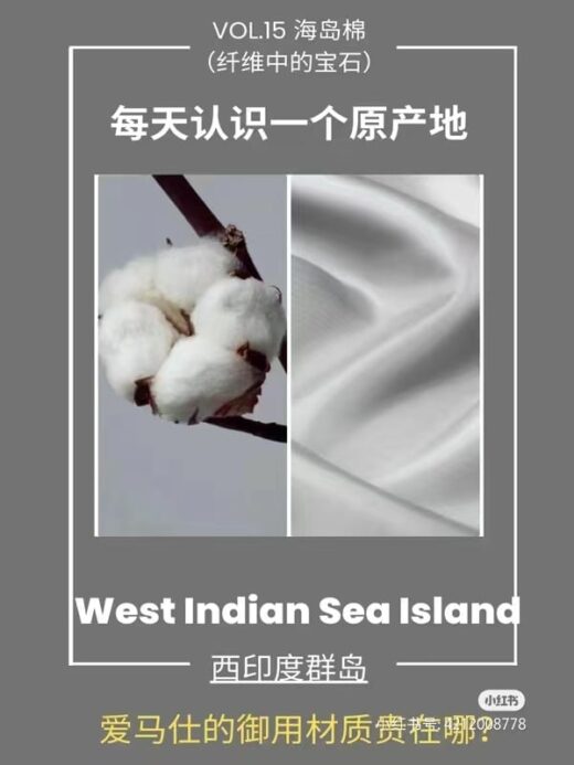 海岛棉