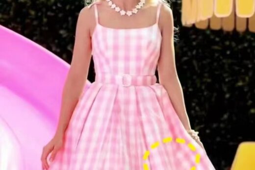芭比维希格gingham