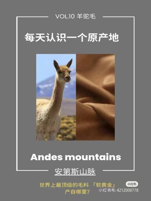 羊驼毛