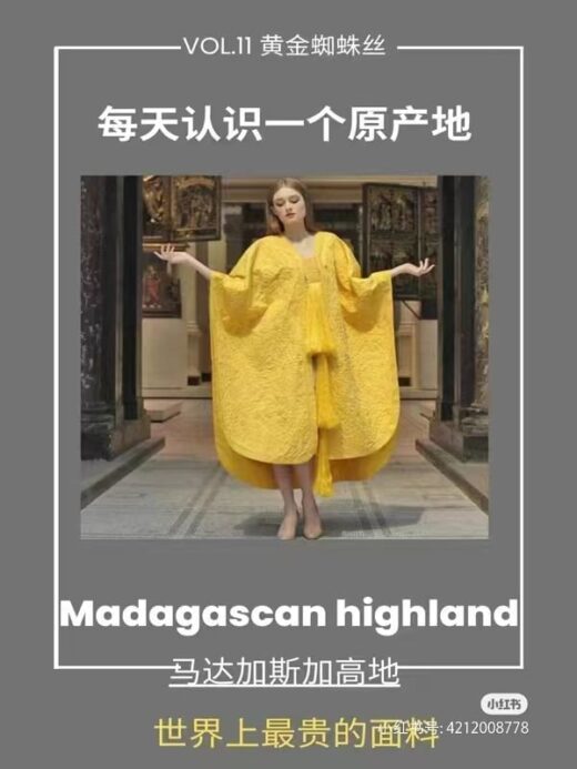 黄金蜘蛛丝