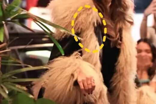 Penny Lane Coat