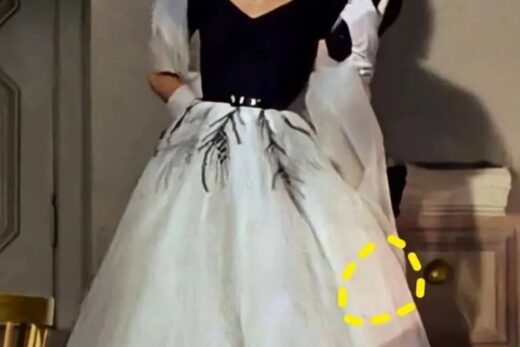 Organza